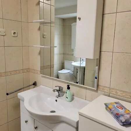 Apartament Vik House *